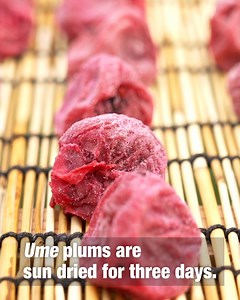 65K views · 1.6K reactions | Step into Granny’s kitchen. Taste 50 years of sour power. ⬇️ https://www3.nhk.or.jp/nhkworld/en/shows/3004989/?cid=wohk-fb-org Through the Kitchen Window Passing on Pickled Plums for Posterity | NHK WORLD-JAPAN | Facebook