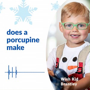 What sound does a porcupine make when it gives a kiss You’ll have to call the Holiday Wish Line to find out! Dial 480.914.9474 and press #3 to hear wish kids tell jokes – one of the eight hotline prompts designed to spread holiday cheer among callers. Learn more about the wish kids behind the voices at wish.org/wishline Make-A-Wish America | Make-A-Wish New Hampshire | Facebook