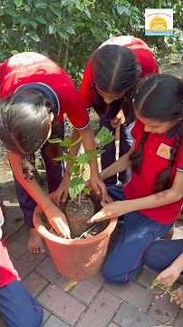 Plant Reproduction at the Campus Nursery | 2025