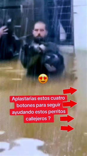 Dúo Musical con SLOGI: Un Encuentro Interesante