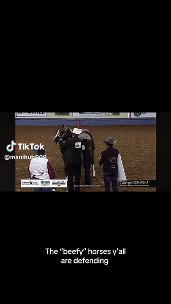 Understanding Halter Horses: Characteristics and Care