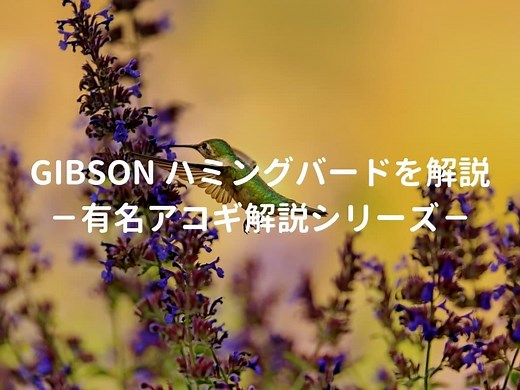 Gibson hummingbird（ギブソン ハミングバード）とはどんなギターなのか？－有名アコギ解説シリーズー