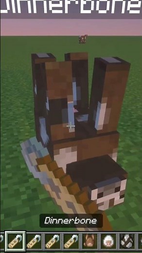 Name tags in Minecraft for animals