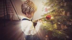 Umetna ali naravna jelka? | 24ur.com