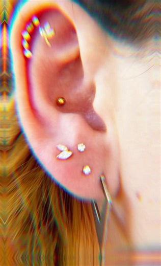 piercings and ear styling of the past week 🔥#pocolocojewellery #piercings #piercingsoftiktok #piercinglover @Thomas poco loco @Kelly Poco Loco