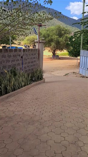 Experience the Aloft Lounge: A Serene Retreat