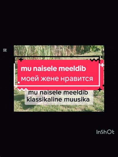 #eestikeeles #иностранныйязык #изучениеязыков #эстонскийязык #asmr