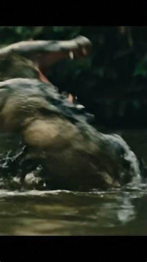 Jaguar vs. Caiman: Vicious Battle in the Water!