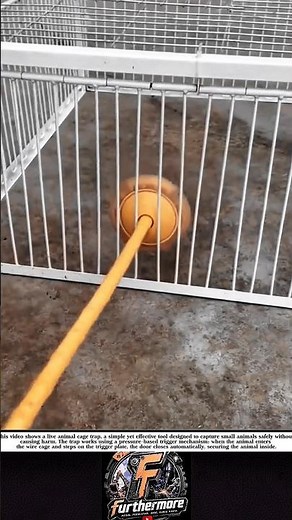 How a Live Animal Cage Trap Works | Safe & Practical Capture Method