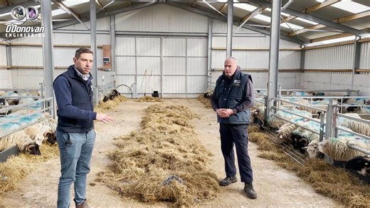 Welcome to PJ’s sheep farm, where we’re taking a closer look at his new sheep shed, why he decided to build it, what his key requirements were, and how we designed and manufactured the structure to suit his operation. #farminguk #sheepfarming #sheep #sheepfarmer | O'Donovan Engineering