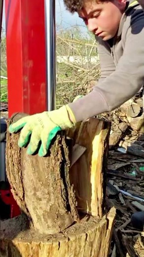 Vertical Log Splitter #logsplitter #firewood
