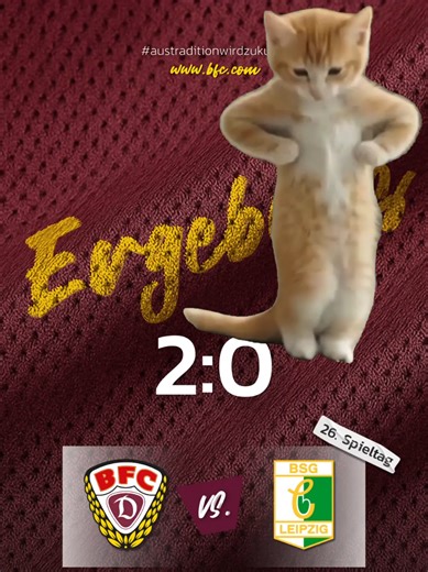 Genießt das Wochenende!🥳👏 #bfcdynamo #austraditionwirdzukunft #echterfussball #regionalliganordost