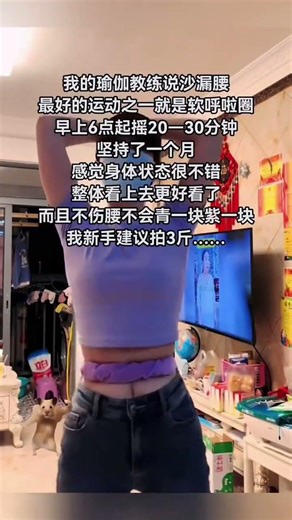 Ultra-Soft Velvet Hula Hoop One-Piece for Silent Workout (3-6 lbs