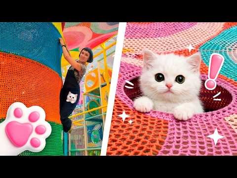 Котёнок Кефир в детском лабиринте! Играет и веселится вместе с Карлом и Дорианом