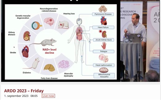 CD38 as a target for age related metabolic dysfunction from basic science to tra