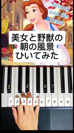 【簡単ピアノ】美女と野獣/朝の風景/beauty and the beast #ピアノ #piano #pianotutorial #belle
