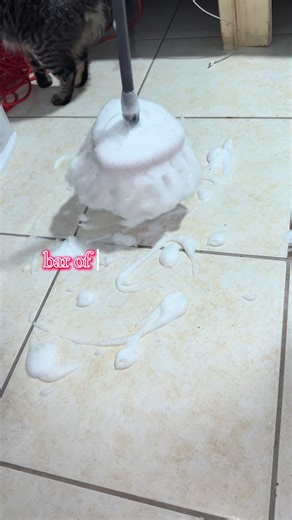 happy birthday @Robin 🫧 🧼 hope you enjoy #fypシ #mopping #barsoap | Bar Soap