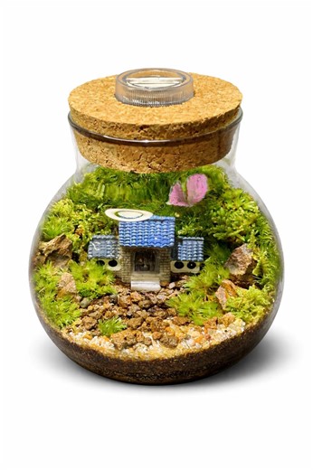 LED Moss Terrarium Decor | Mini Desk Ecosystem Gift | Handmade Indoor Plant L Valentine Gift - Etsy