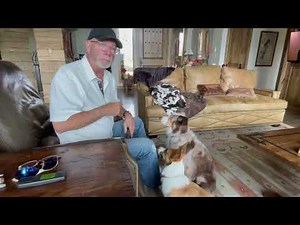 Can dogs understand us?