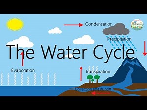 The Water Cycle Explained | Evaporation, Condensation, Precipitation & Collection
