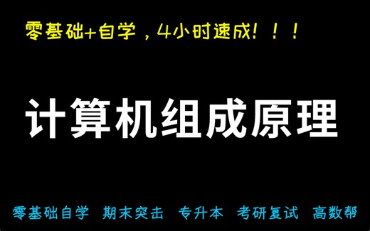 【网络安全】计算机基础4小时期末速成课！期末速成丨考前突击丨期末不挂科丨考点总结