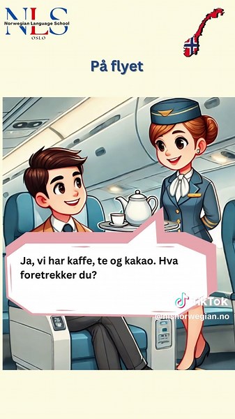 NLS Norwegian Language School on TikTok