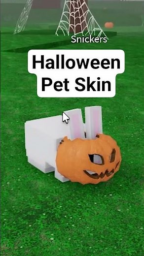 Cute or Creepy? Taming Pumpkin Bunny and Skeleton Wolf 🎃🐾