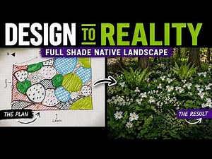 A Shade Garden That's FULL of Color! | Full Shade Native Plant Design (Step-by-Step)