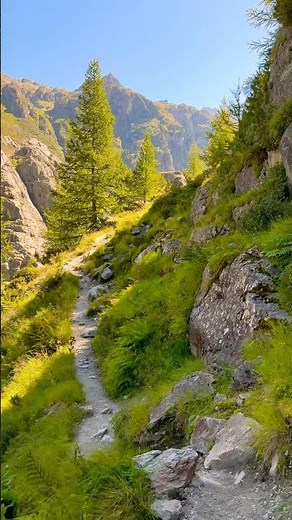 Mountain trail that tests your limits #hiking #mountains #challenge