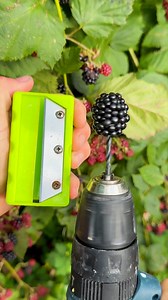 1.7M views · 7.8K reactions | blackberry vs sharpener #asmr #food #wow | Fast Easy Hacks | Facebook