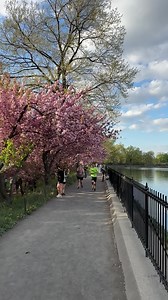 638K views · 90K reactions | Central Park walk New York City | New York City Photos | Facebook