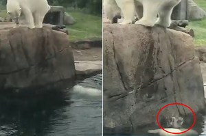 This bear just ‘dropped some kids off at the pool’ on top of her real kid