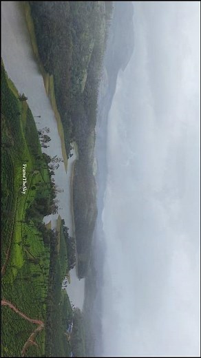 Munnar in the Mist ❄️