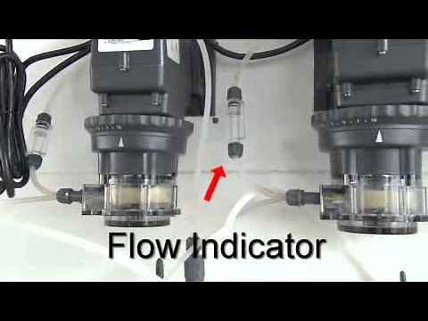 Stenner Pumps Overview