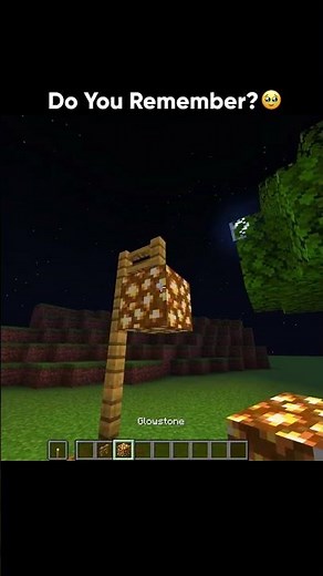 Minecraft nostalgic 🥺 part 73