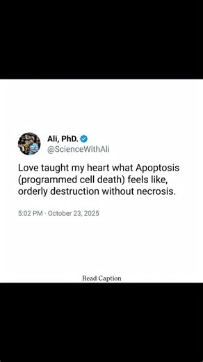Ali -PhD || PU 🇮🇳 on Instagram: "Apoptosis and necrosis are two distinct forms of cell death that differ in their causes and consequences. Apoptosis is a highly regulated, energy-dependent process often referred to as programmed cell death, essential for normal development and tissue homeostasis. During apoptosis, cells shrink, chromatin condenses, DNA fragments and the cell breaks into membrane-bound apoptotic bodies that are quickly engulfed by phagocytes, all without triggering inflammation