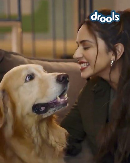 Rule the day with Drools 🐶❤️