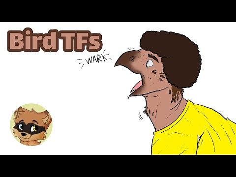 Bird (Avian) Transformation / Bird (Avian) TF