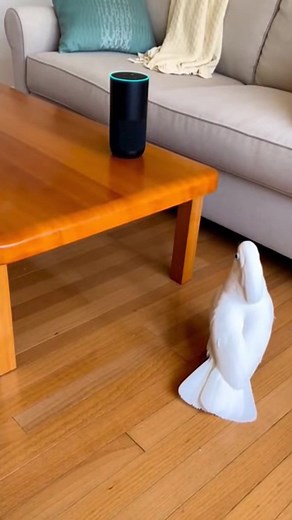 47K views · 117 reactions | Smart Bird Uses Alexa to Throw a Dance Party! (AI) | Crafty Panda | Facebook