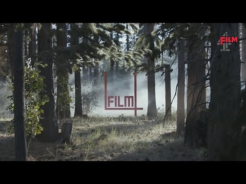 Film4 Woods Ident | Film4