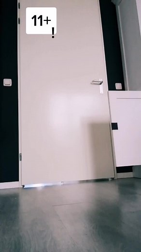 Paper_dragons op TikTok