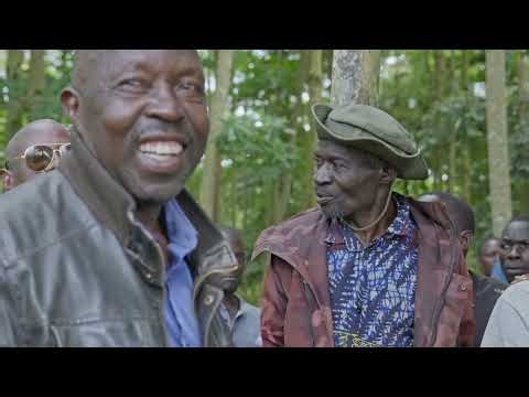 UN-REDD working with African countries to turn their commitments into tangible, measurable results