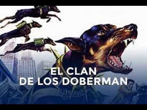 EL CLAN DE LOS DOBERMAN 1972 PELICULA COMPLETA ESPAÑOL