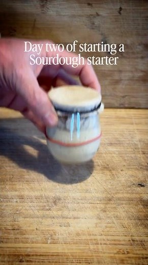 Day 2 of building a Sourdough Starter