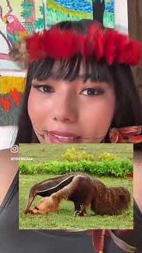 Aprendendo o Tupi-guarani, dos povos originários brasileiros #idiomas #povosoriginarios 🛖🛖🛖