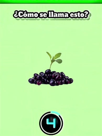 Spanish Vocabulary Test Challenge