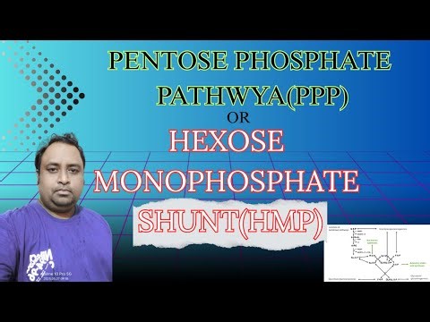 Pentose phosphate pathway /Hexose monophosphate shunt by harun sir @harun biozone