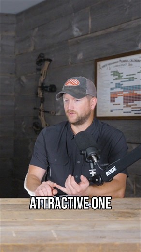 Late season hunting doesn't always mean hunting over standing corn and soybeans. Brassica's can and should be incorporated into your food plot regime. That could be a large destination plot, a smaller staging plot just inside the timber, or over-seeded into a grain plot. Use seed mixes from Whitetail Institute of North America like Winter Greens or Tall Tine Tubers, give your deer herd a solid green source during late season! | Whitetail Properties