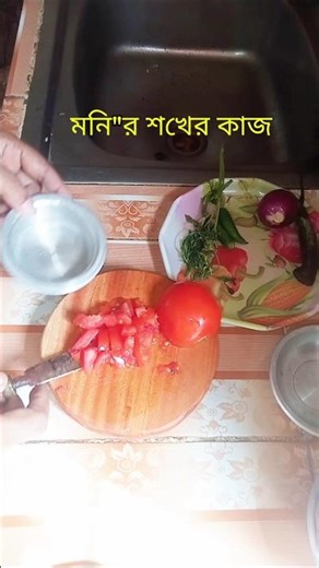 মিনি কিচেনে ভাইরাল কাটিং ট্রিক!🍅🌶️🧅#cutting