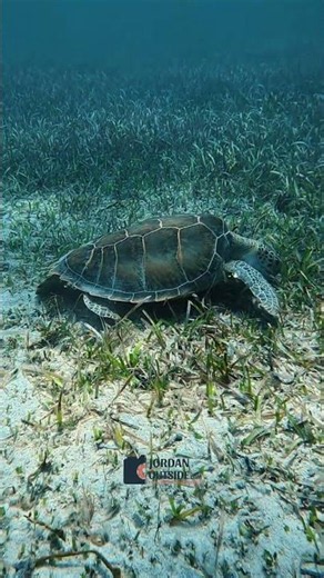 Exploring the Turks and Caicos Islands